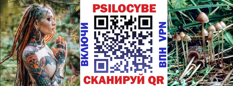 купить наркоту  Красноармейск  Галлюциногенные грибы Cubensis 
